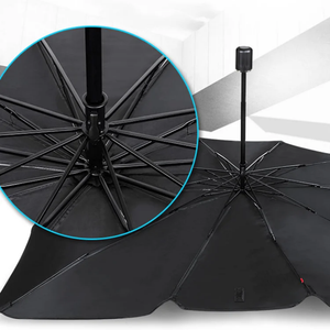Parasol Auto